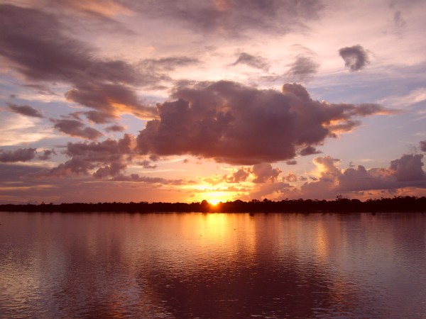 Amanecer en el Amazonas